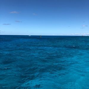 Meet your Posher, Sherry